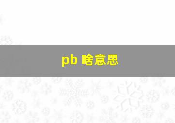 pb 啥意思